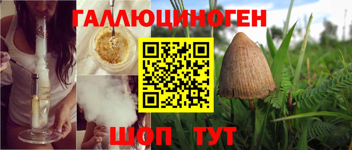 Псилоцибиновые грибы мухоморы  Вход с VPN  Набережные Челны  Псилоцибиновые грибы ЛСД 